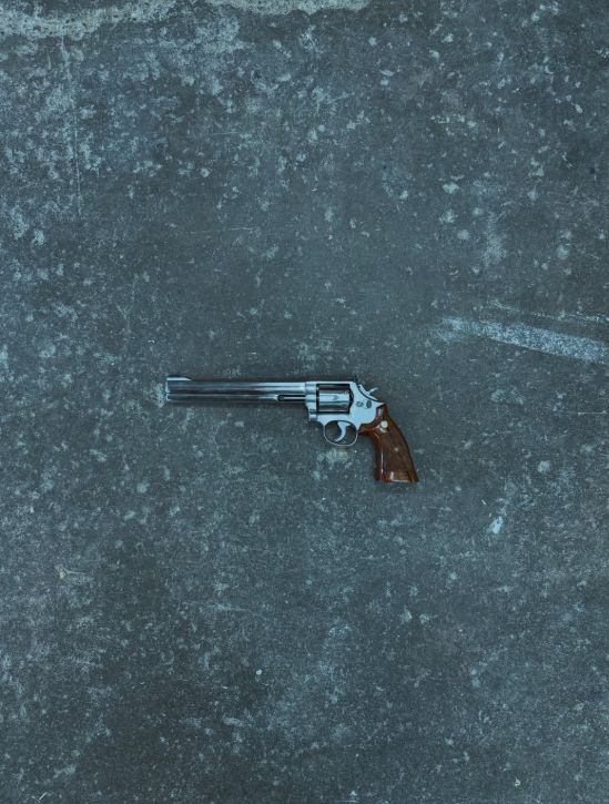 Smith & Wesson 686